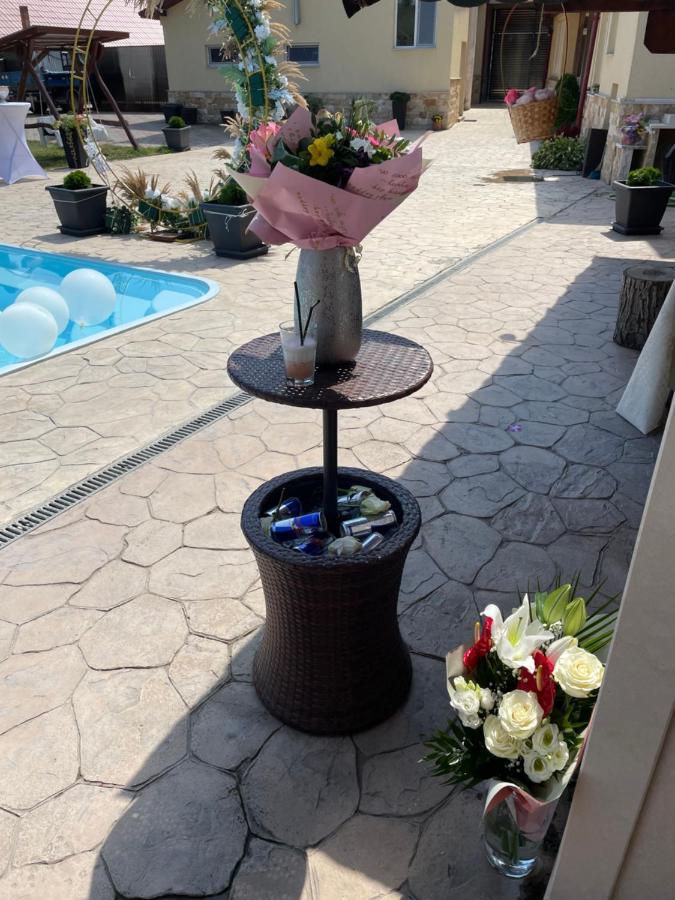 Мотель Casa Ryana Self Check-In Джилэу Экстерьер фото